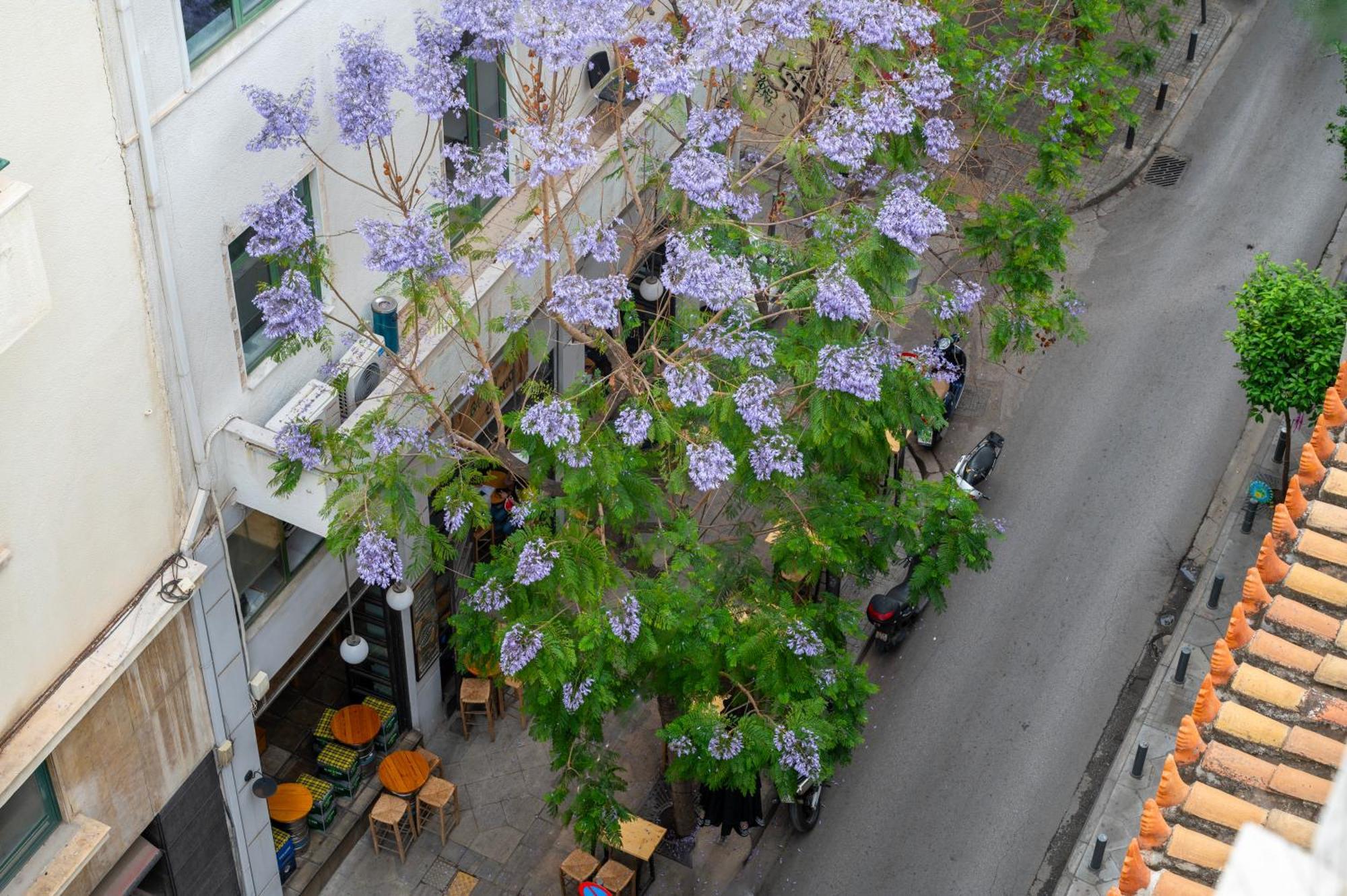 Hestia - Kolokotroni 23 Hotel Athene Buitenkant foto